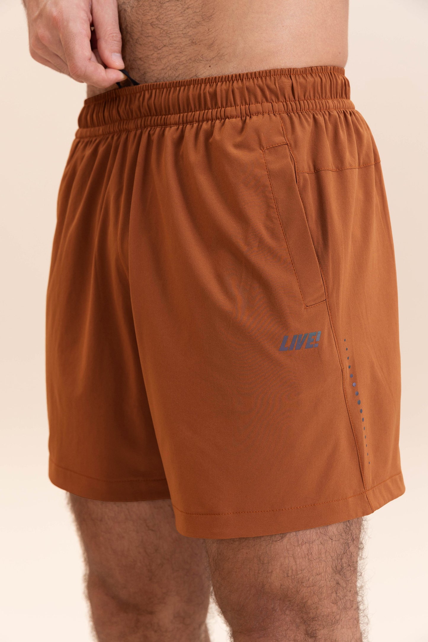 Run Harmony Arm Sleeves
