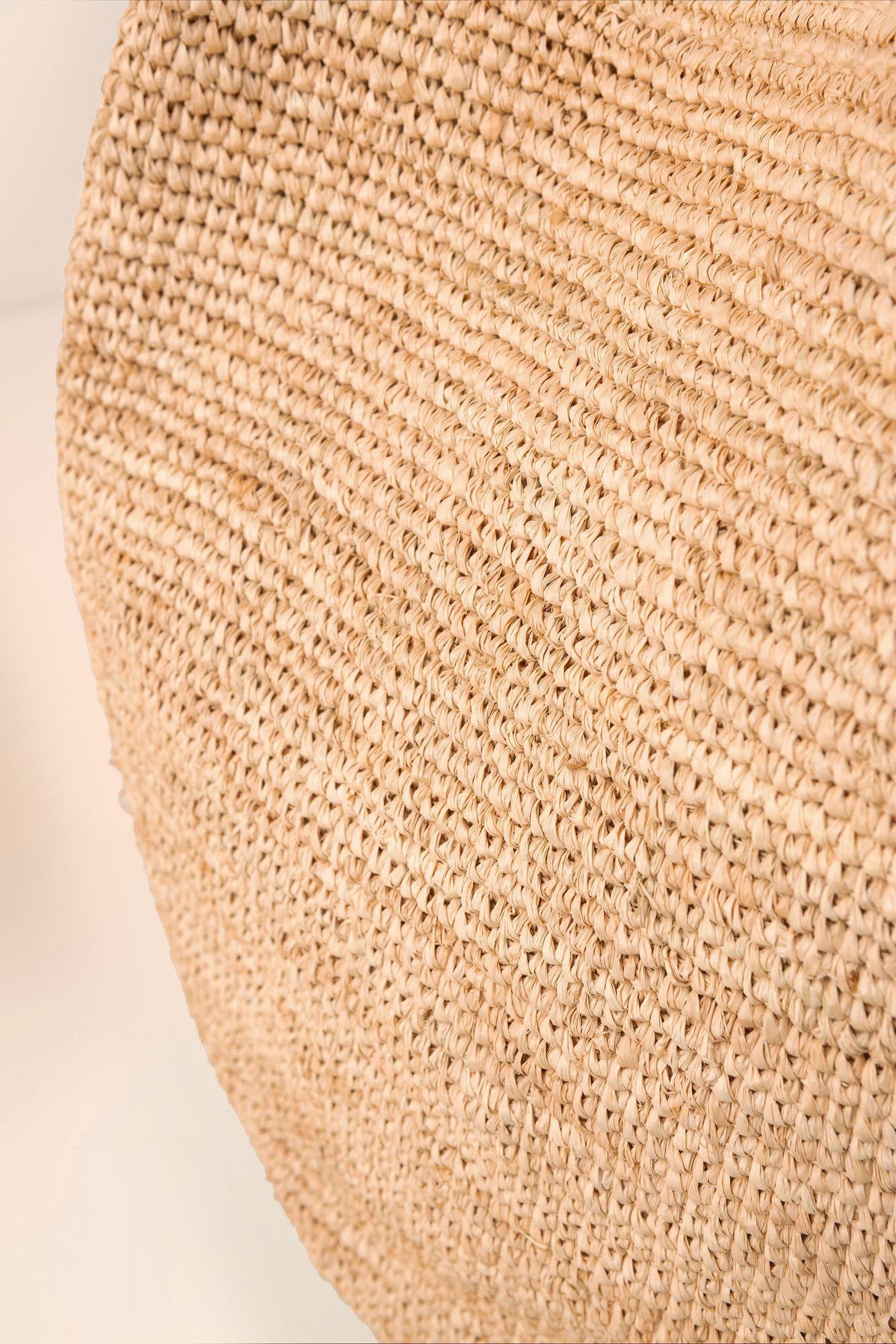 Beach Raffia Bag