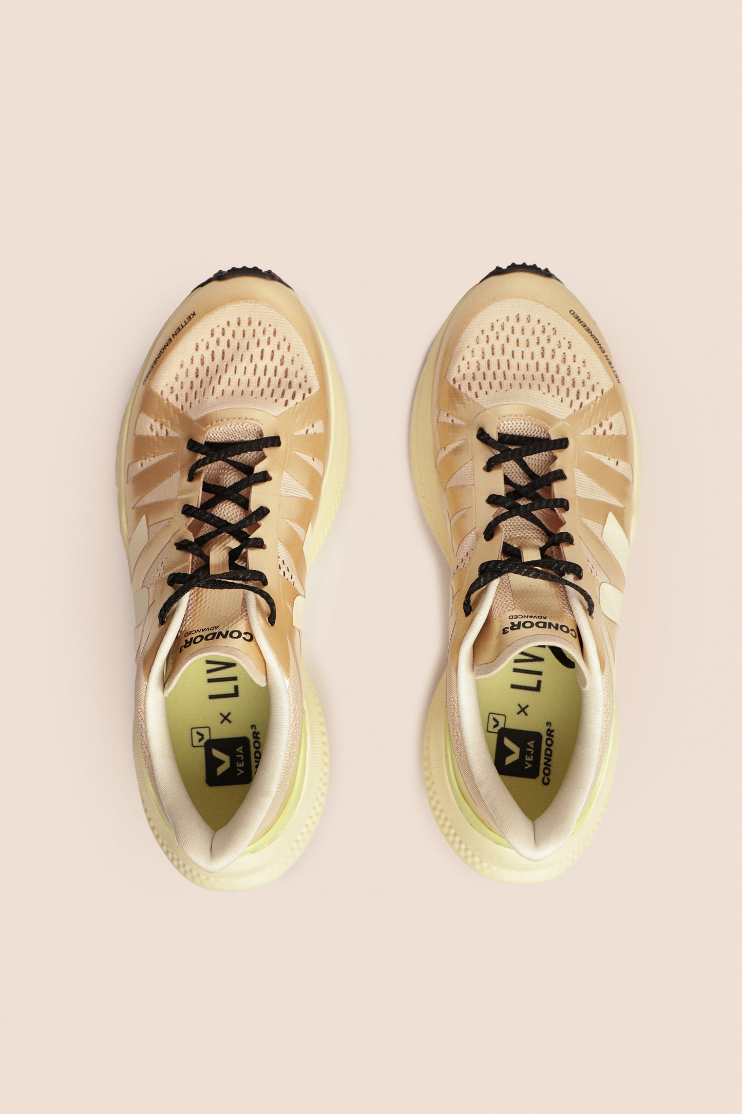 CONDOR 3 ENGINEERED GOLDEN DUSK
