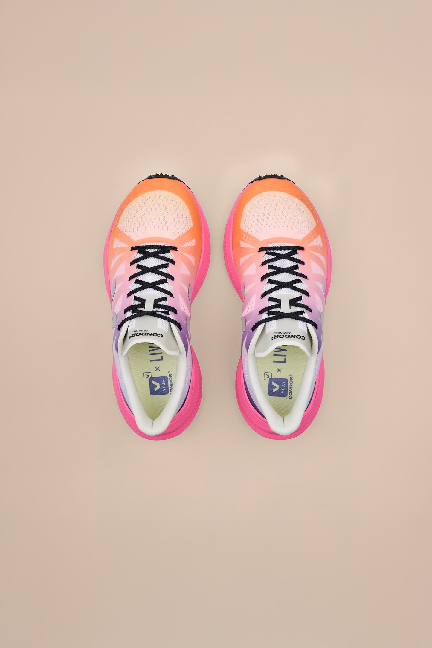 Condor 3 Advanced Engineered-Mesh Multico Pink