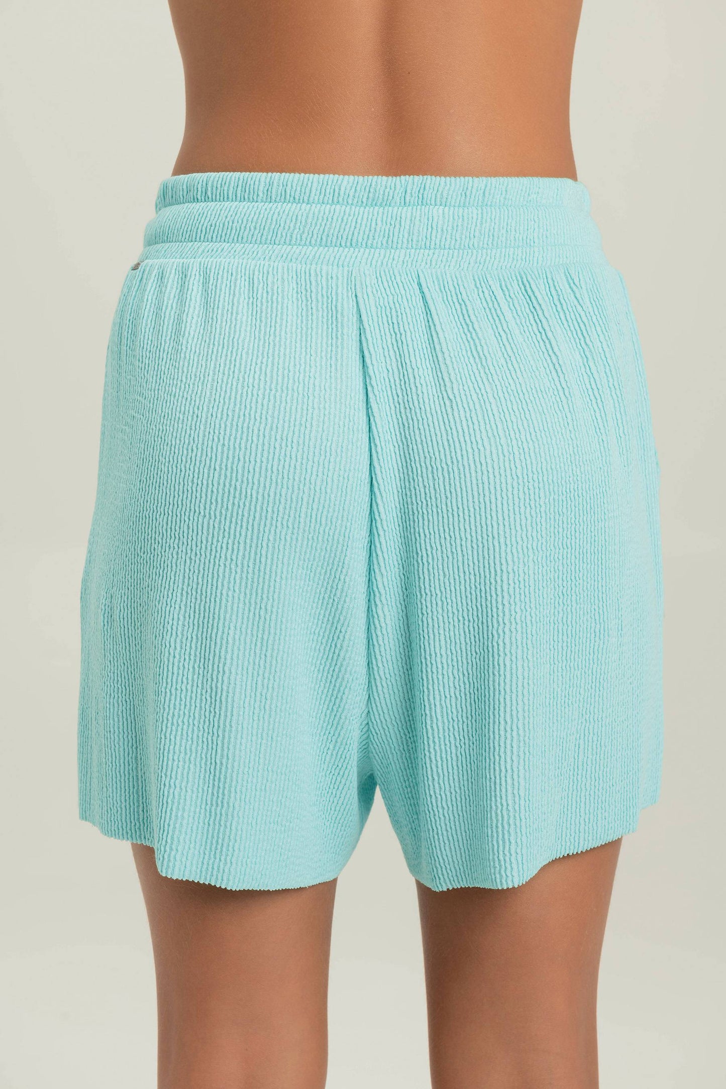 Swell Shorts